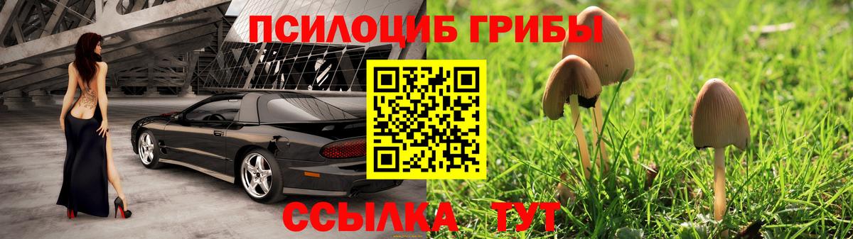 Псилоцибиновые грибы Psilocybine cubensis  Вход с VPN  Дзержинск 